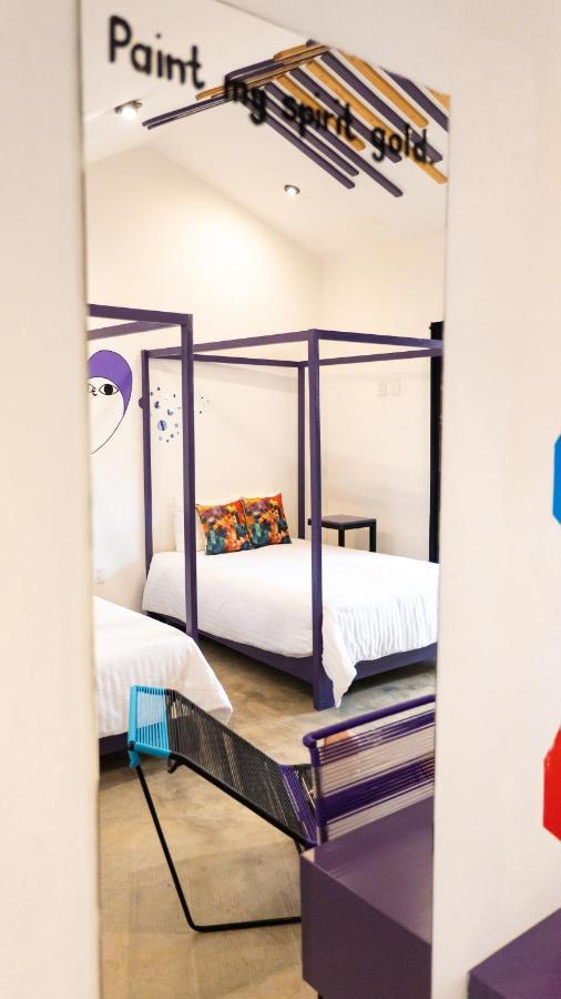 Hotel Suculenta Boutique San Cristobal de las Casas Luaran gambar