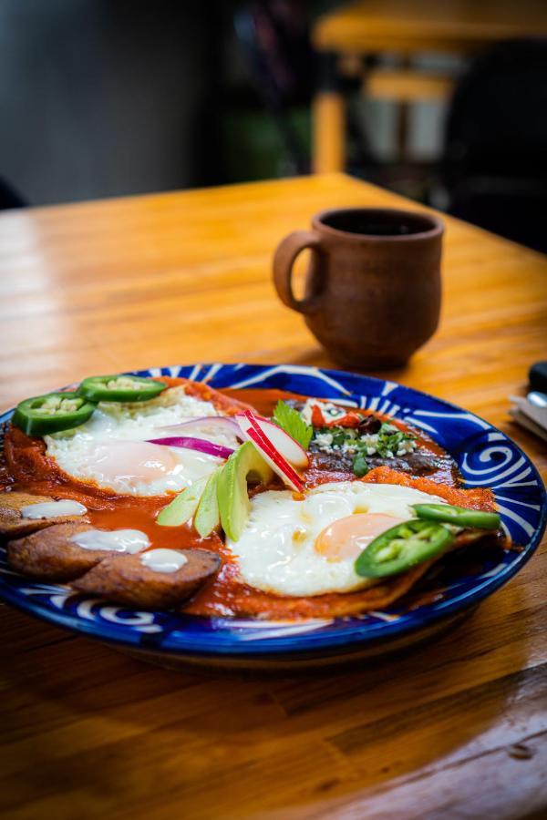Hotel Suculenta Boutique San Cristobal de las Casas Luaran gambar